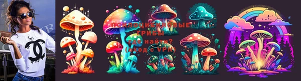 гашик Белокуриха