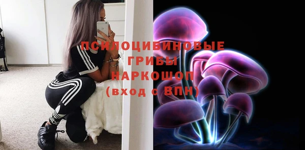 прущий лед Богородицк