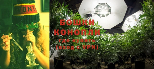 ПСИЛОЦИБИНОВЫЕ ГРИБЫ Богородск