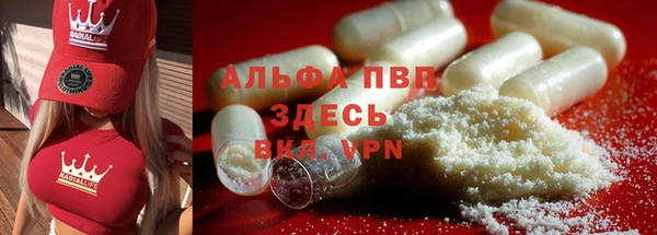 ПСИЛОЦИБИНОВЫЕ ГРИБЫ Богородск